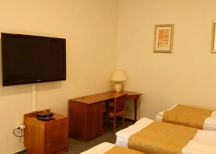 Hotel City